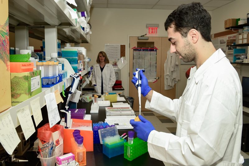 Graduate Student Preparing Samples for Cancer Immunology Studies1